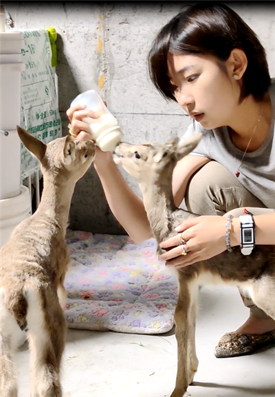 河狸公主初雯雯和上百万个90后一起做了件大事